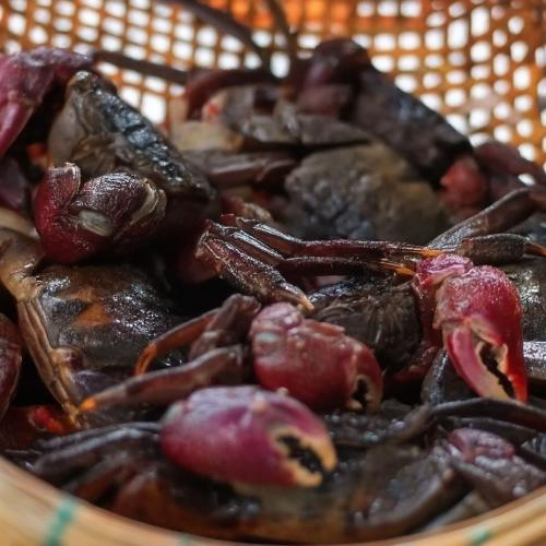 Ba Khía Sống Ở Nước Ngọt Hay Nước Mặn?