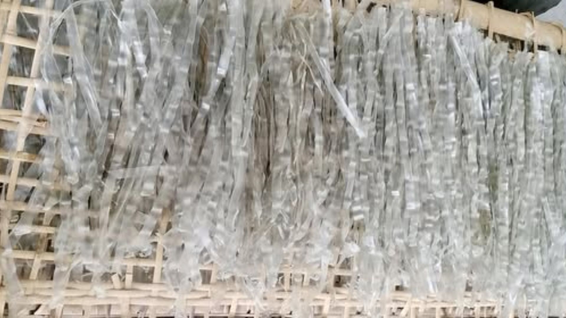 2. Miến dai, không nát – Đúng chuẩn bếp Việt