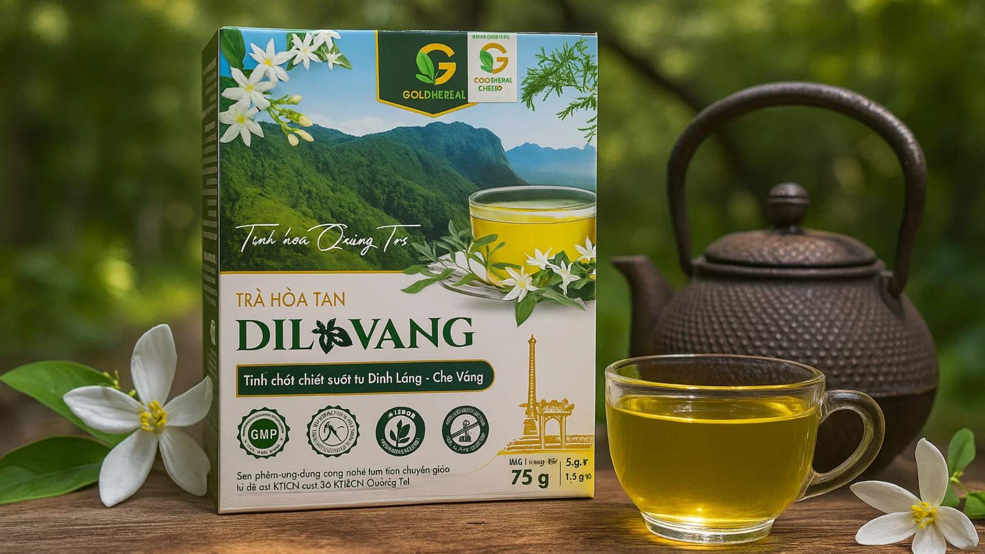 1. Đôi nét về cây đinh lăng – loại cây nhỏ nhưng có "võ"