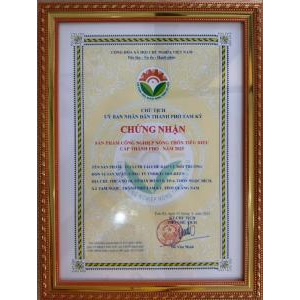 Giấy chứng nhận sản phẩm công nghiệp nông thôn tiêu biểu