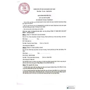 TCB cà phê vàng phin giấy Arabica Yellow