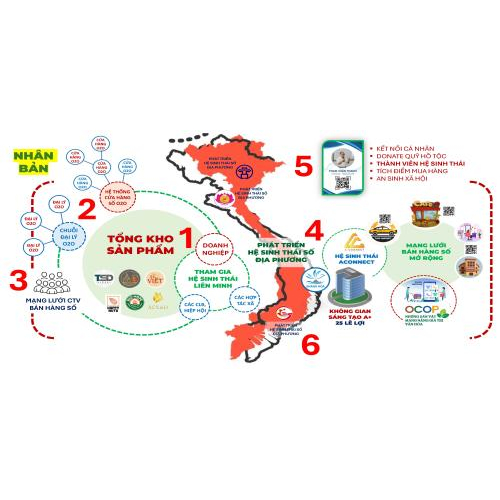 Mô Hình Phát Triển Thương Mại