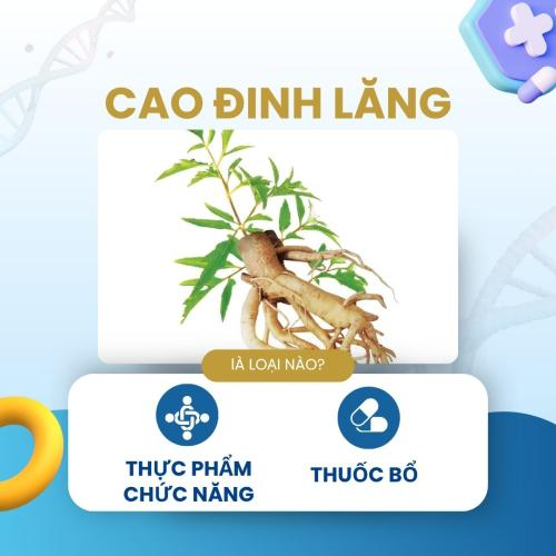 Cao Đinh Lăng Hòa Tan Có Phải Là Thực Phẩm Chức Năng Hay Thuốc Bổ?