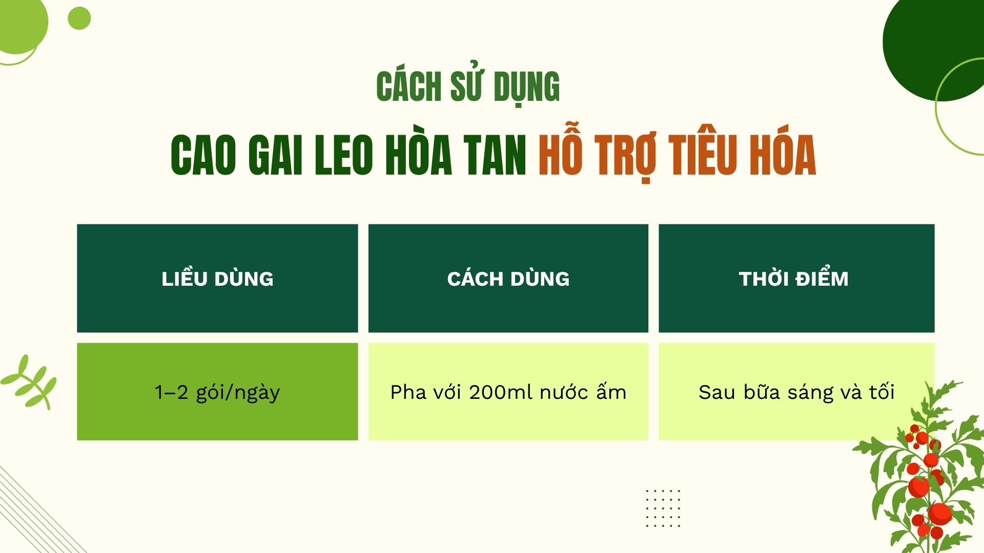 Hướng dẫn sử dụng cà gai leo hòa tan để hỗ trợ tiêu hóa
