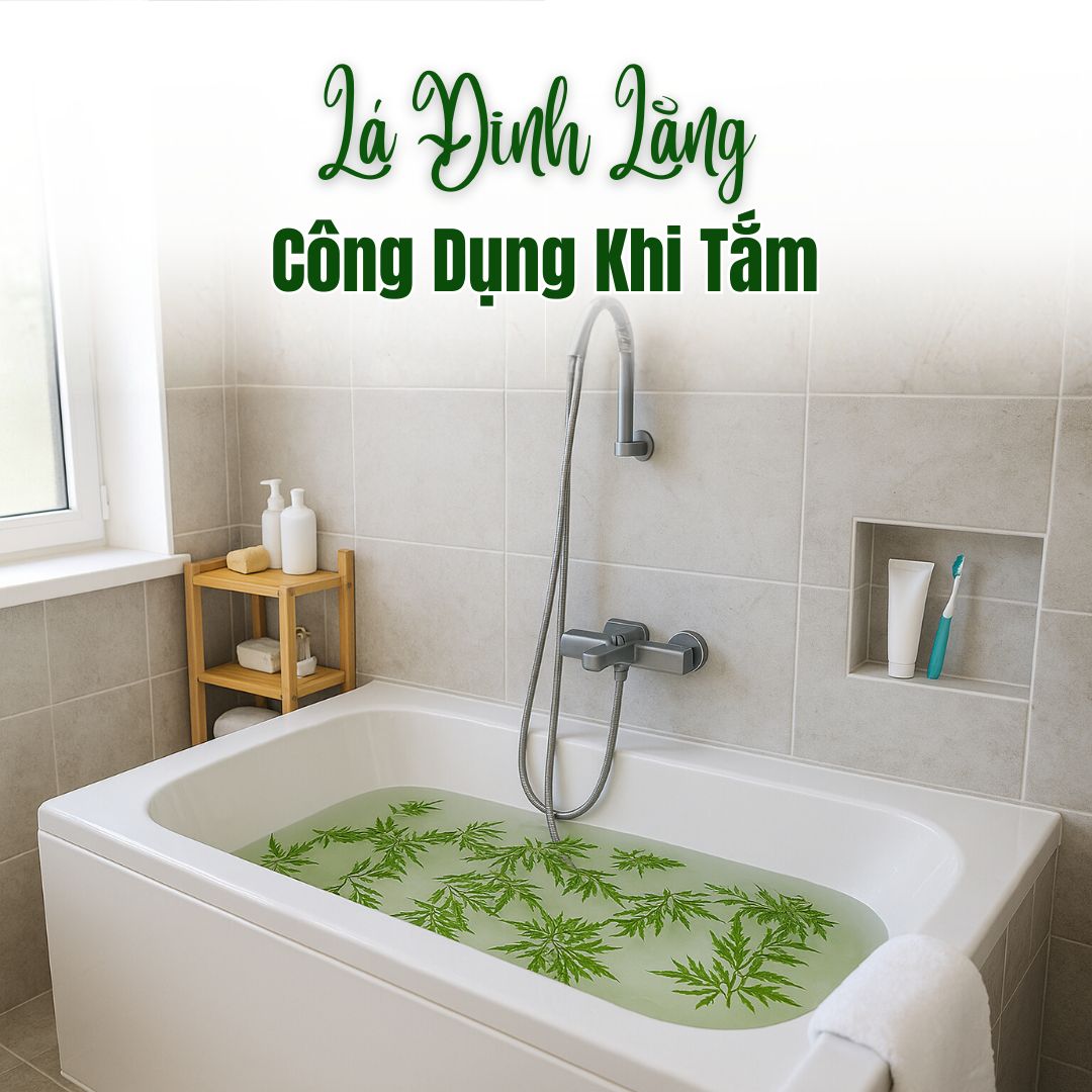 Giải Mã Công Dụng Của Lá Đinh Lăng Khi Tắm – Liệu Có Tốt Như Lời Đồn?
