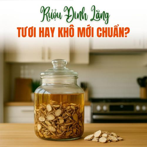 Ngâm Rượu Đinh Lăng: Tươi Hay Khô Mới Chuẩn?