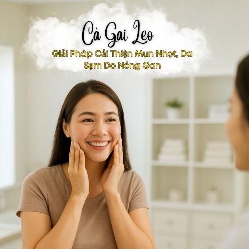 Cà Gai Leo Hòa Tan: Giải Pháp Tự Nhiên Cải Thiện Mụn Nhọt, Da Sạm Do Nóng Gan