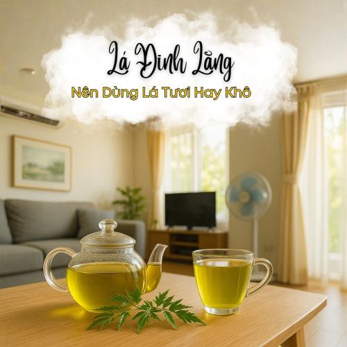Uống Nước Lá Đinh Lăng: Nên Dùng Lá Tươi Hay Khô Để Tốt Cho Sức Khỏe?