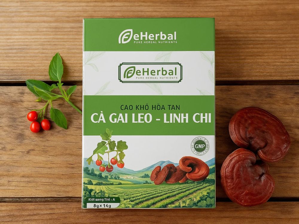 3. Những lợi ích nổi bật có thể trải nghiệm