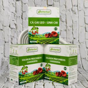 Cao Khô Hòa Tan Cà Gai Leo Linh Chi (Hộp 15 gói x 5g)